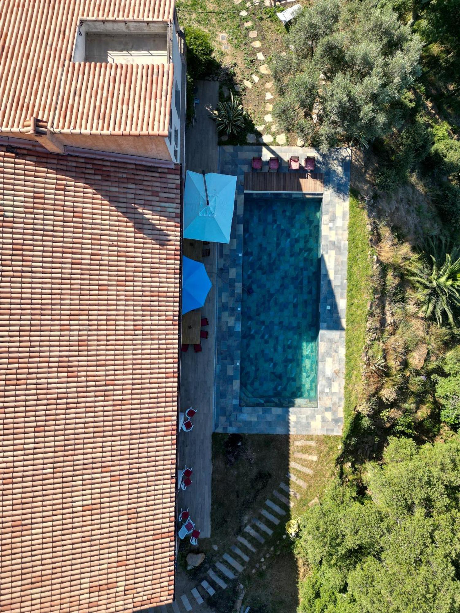 Grande Villa 750 M2 Le Mas Des Chenes Bormes-les-Mimosas Eksteriør billede