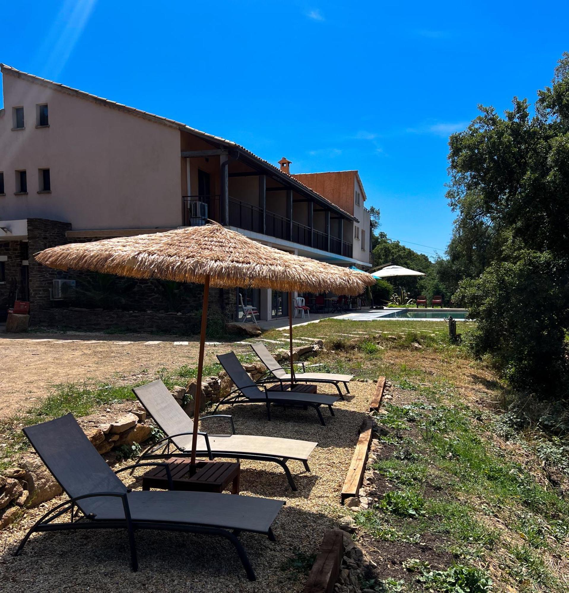 Grande Villa 750 M2 Le Mas Des Chenes Bormes-les-Mimosas Eksteriør billede